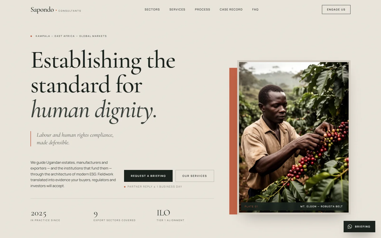 Sapondo Consultants homepage